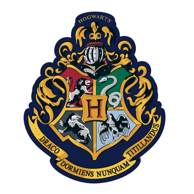 Cojin 3D Hogwarts Harry Potter