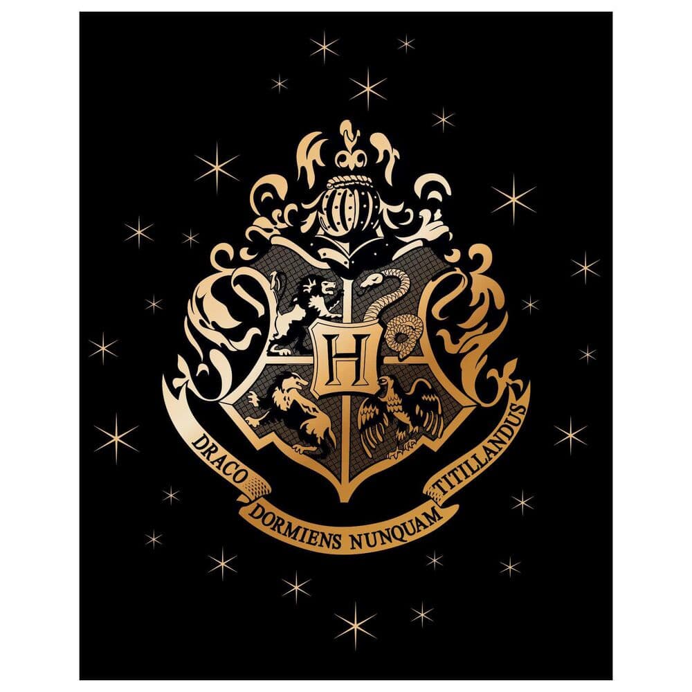 Manta premium coralina Hogwarts Harry Potter