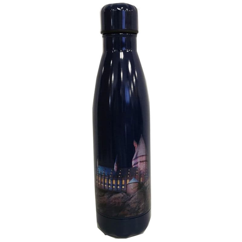 Botella Harry Potter 500ml