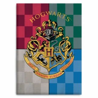 Manta polar Hogwarts Harry Potter