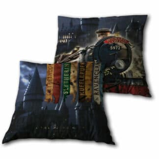 Cojin Harry Potter