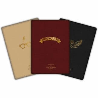 Set Cuadernos A6 Hogwarts Harry Potter