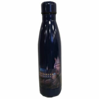 Botella Harry Potter 500ml